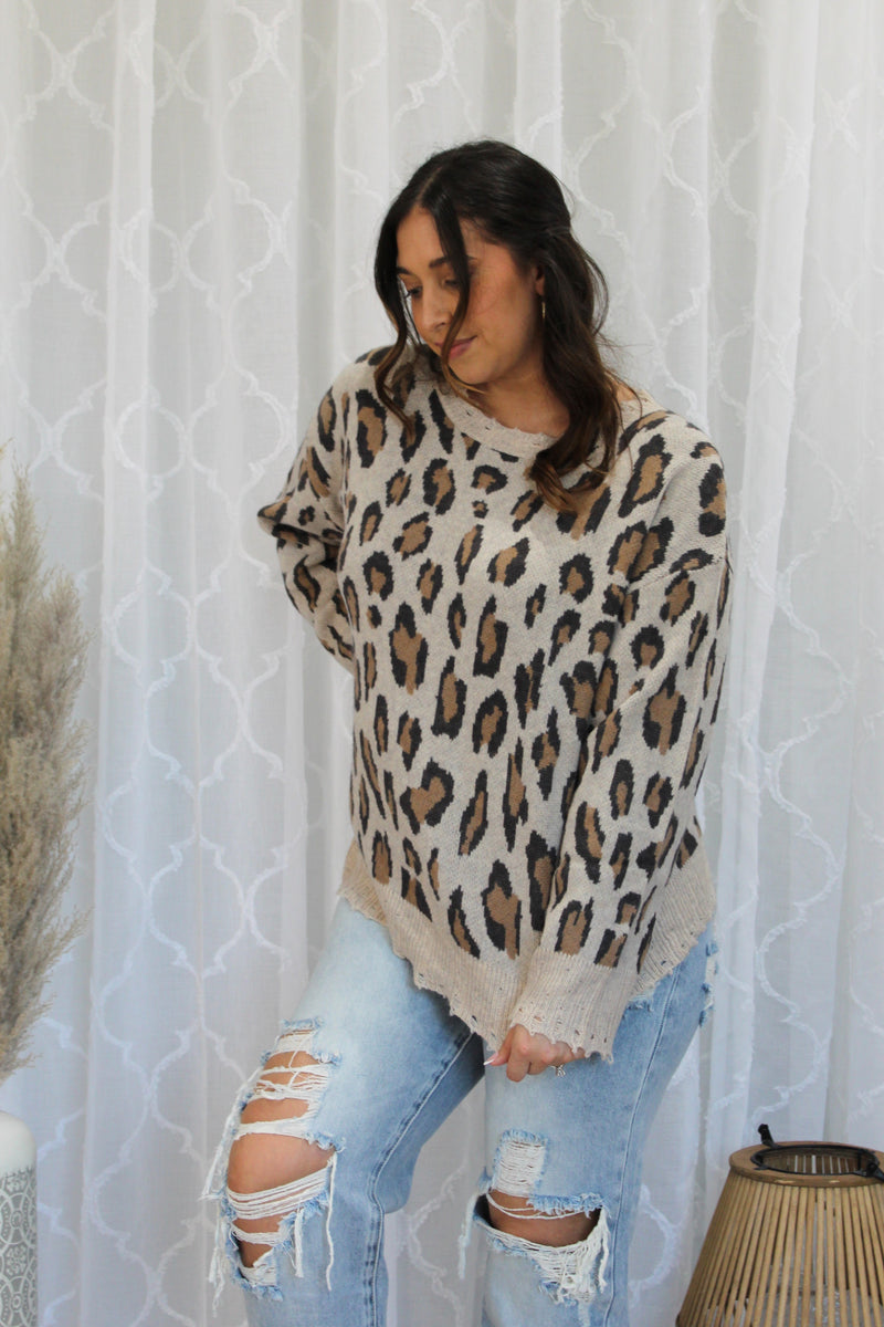 Leopard-Pattern Distressed Knit Sweater